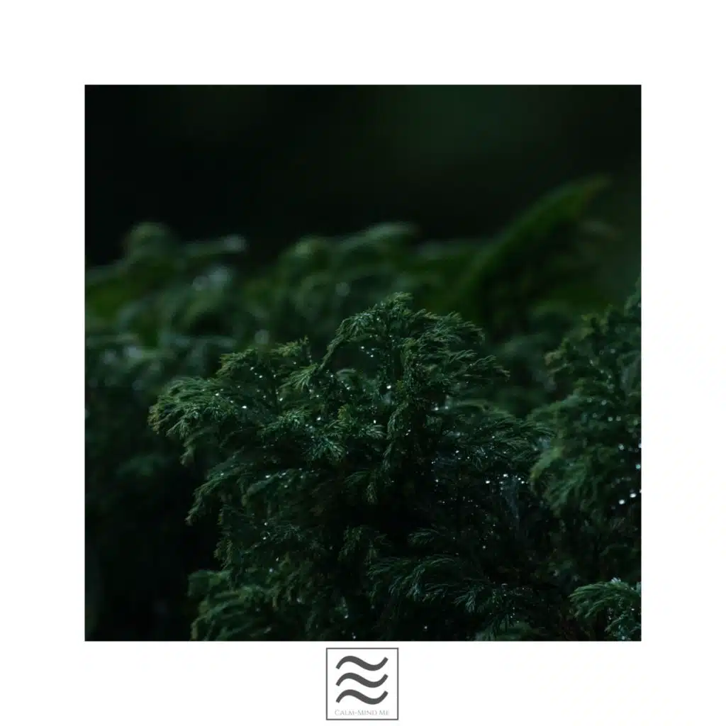 Calmful Raining for Relax