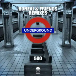 Bonzai & Friends 500 - Remixes