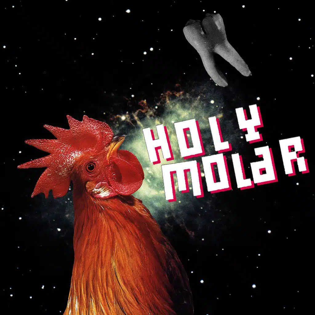 The Whole Tooth and Nothing but the Tooth