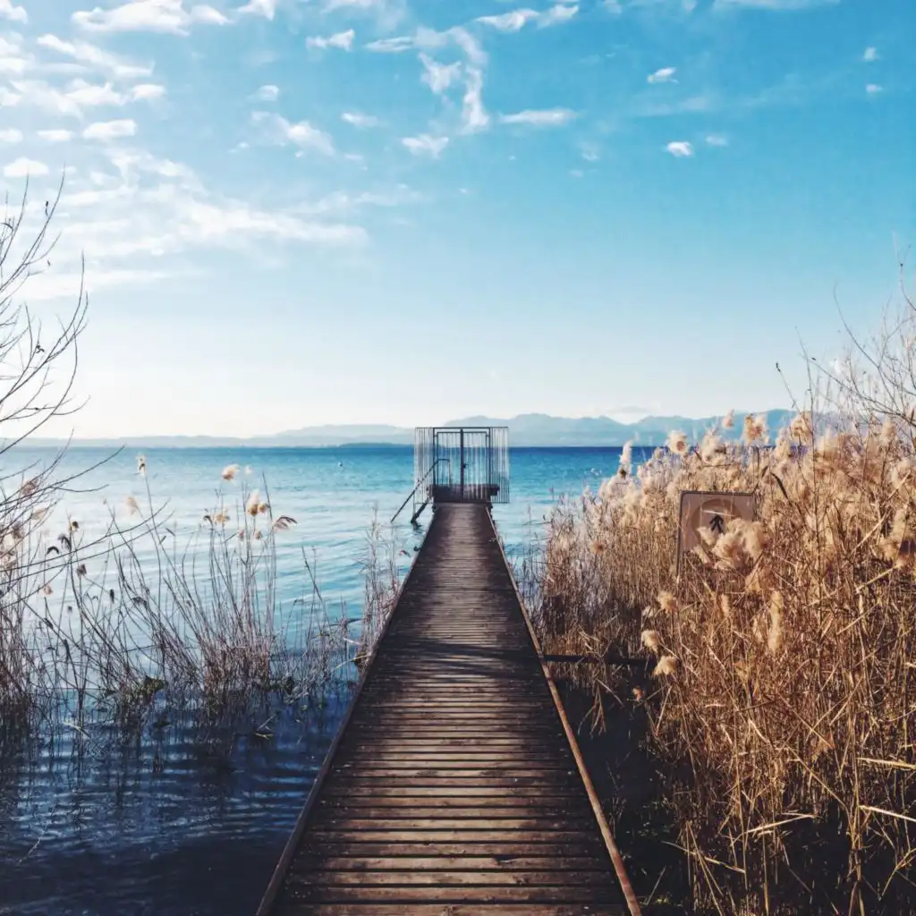 I Will Go to You Like The First Snow