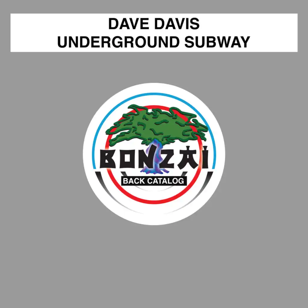 Underground Subway (Moogwai Remix)