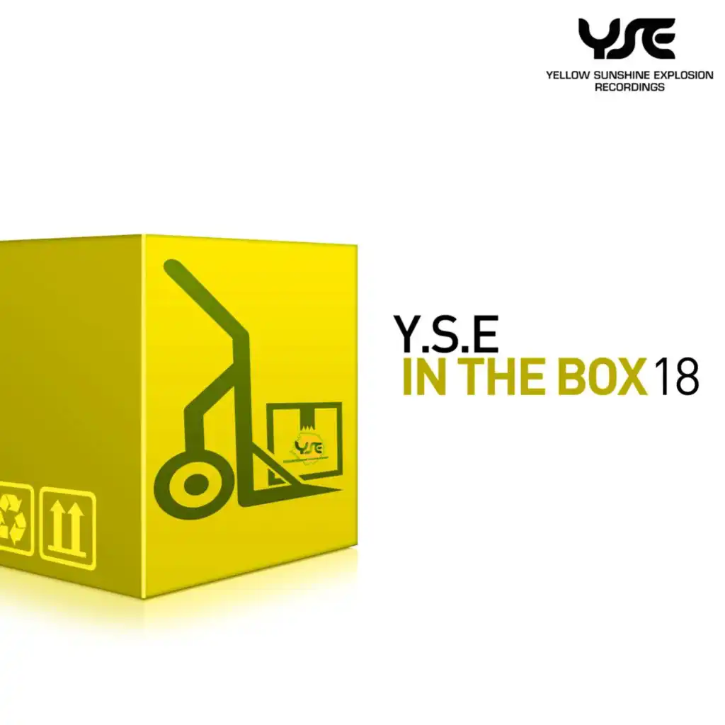 Y.S.E. in the Box, Vol. 18