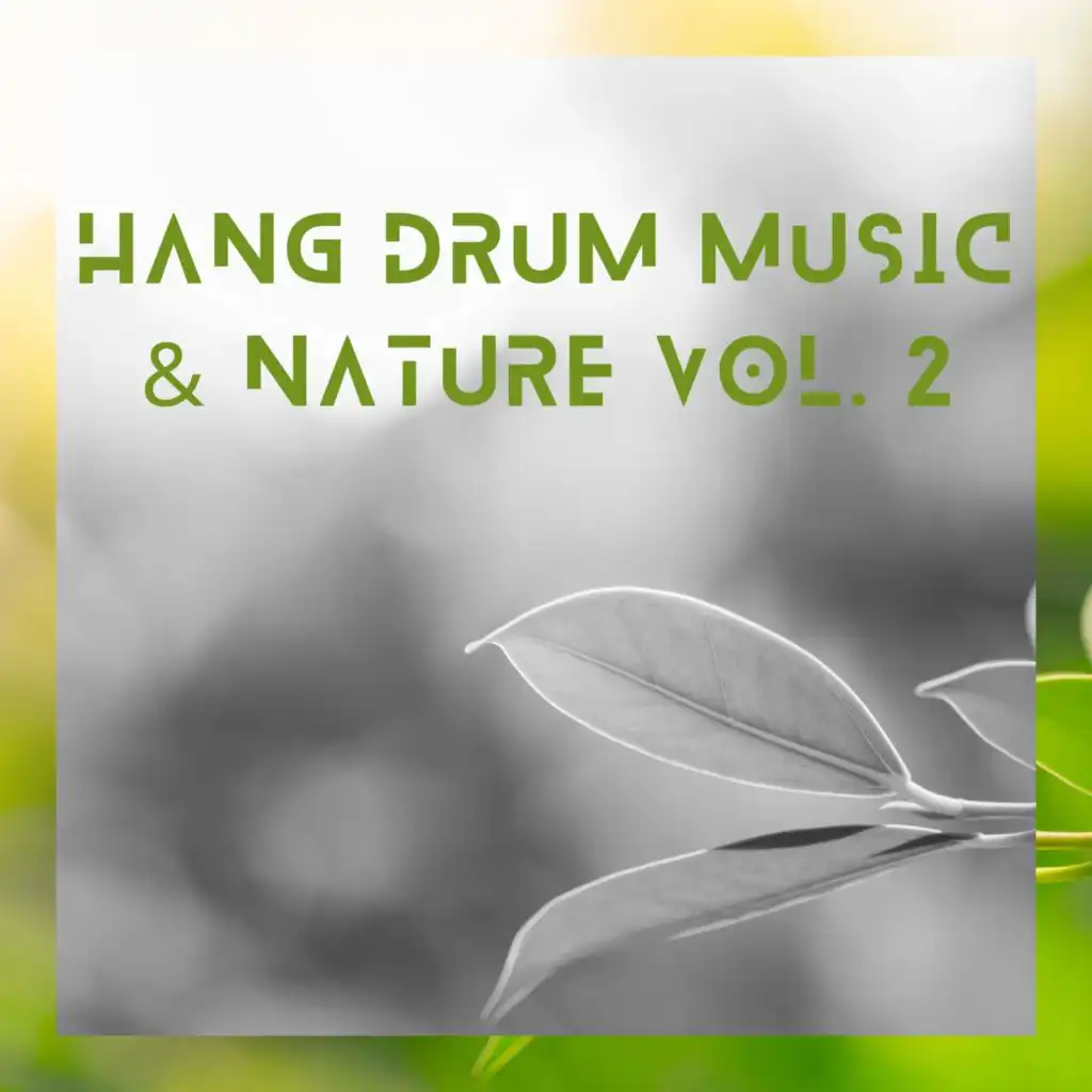 Hang Drum Music & Nature Vol. 2