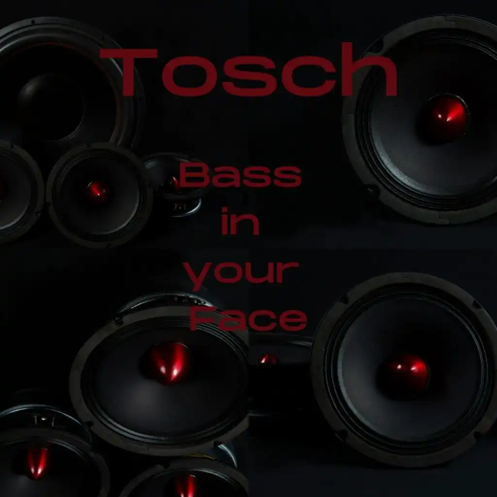 Bass in Your Face (The Soundtrack Edition)