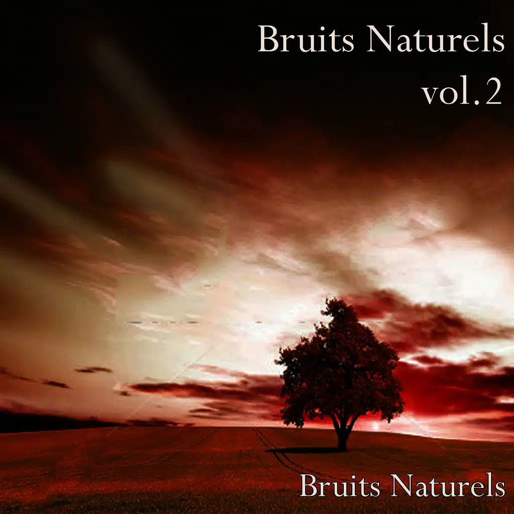 Bruits naturels, Vol. 2