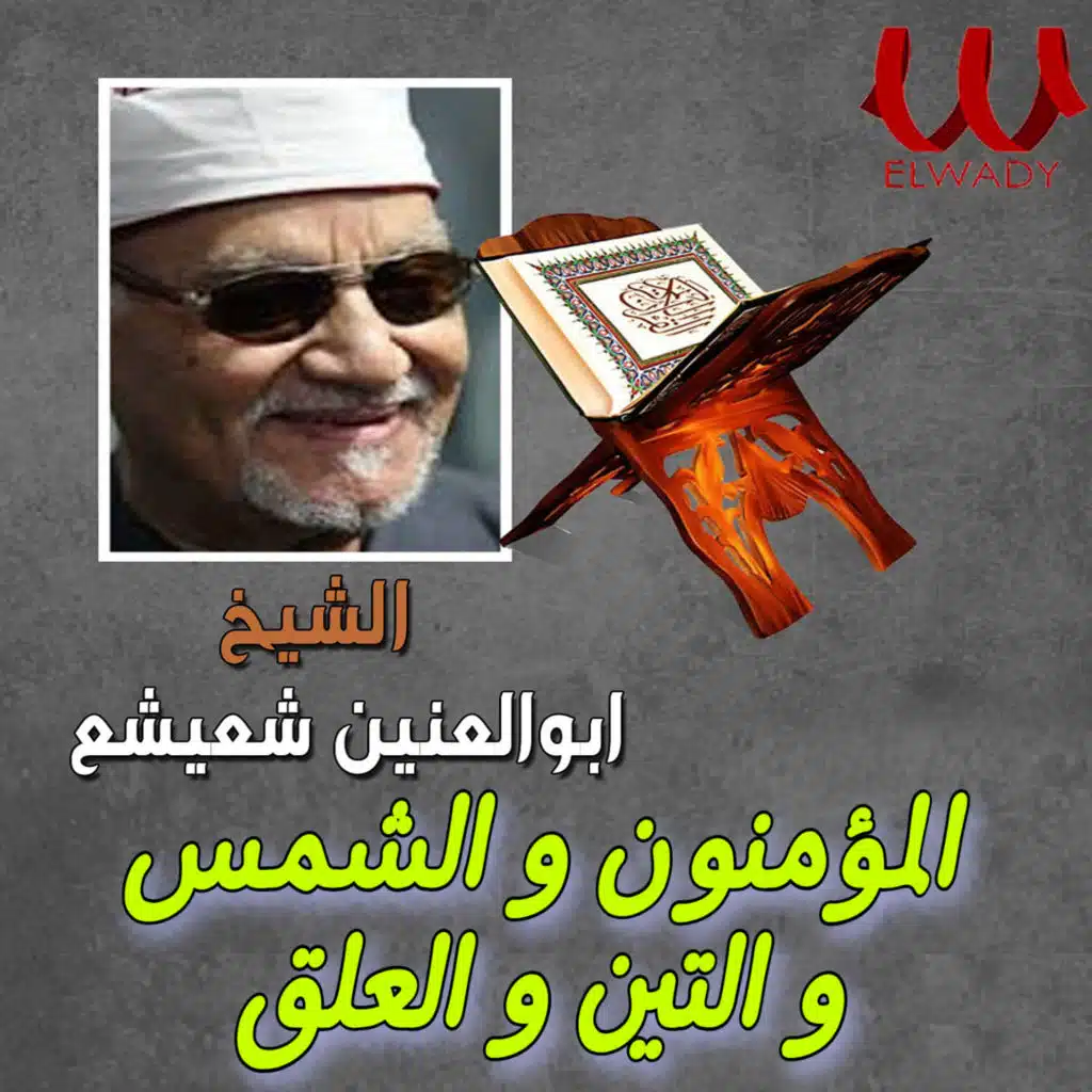 الشيخ أبو العينين شيشة 3