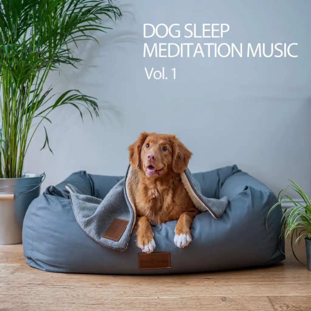Dog Sleep Meditation Music Vol. 1