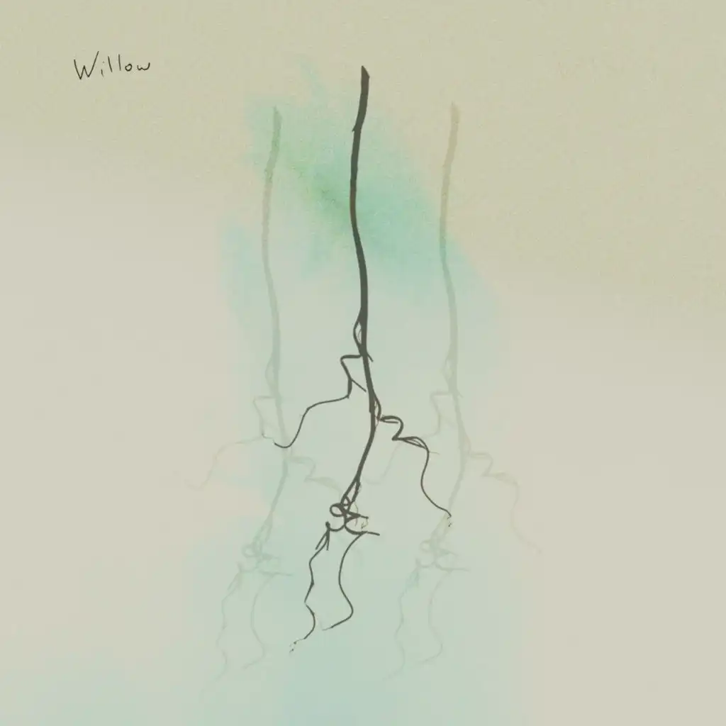 Willow (Rain)