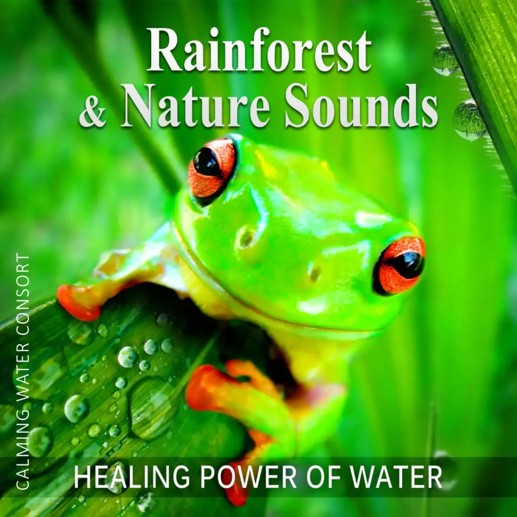 Rainforest & Nature Sounds: 50 Healing Power of Water (Rain, River, Ocean and Sea) Music for Sleep and Relaxation, Free Your Mind & Relax Better, Deep Waves Meditation