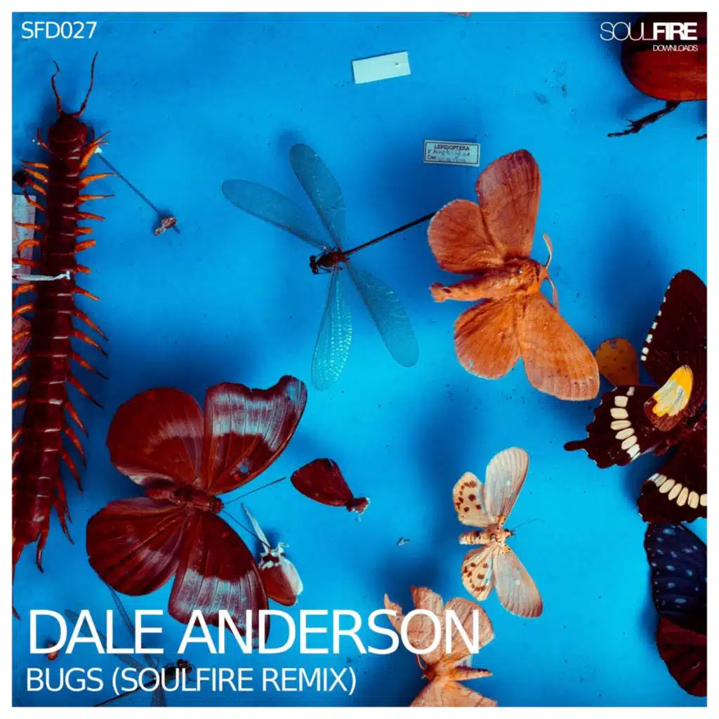 Bugs (Soulfire Remix)