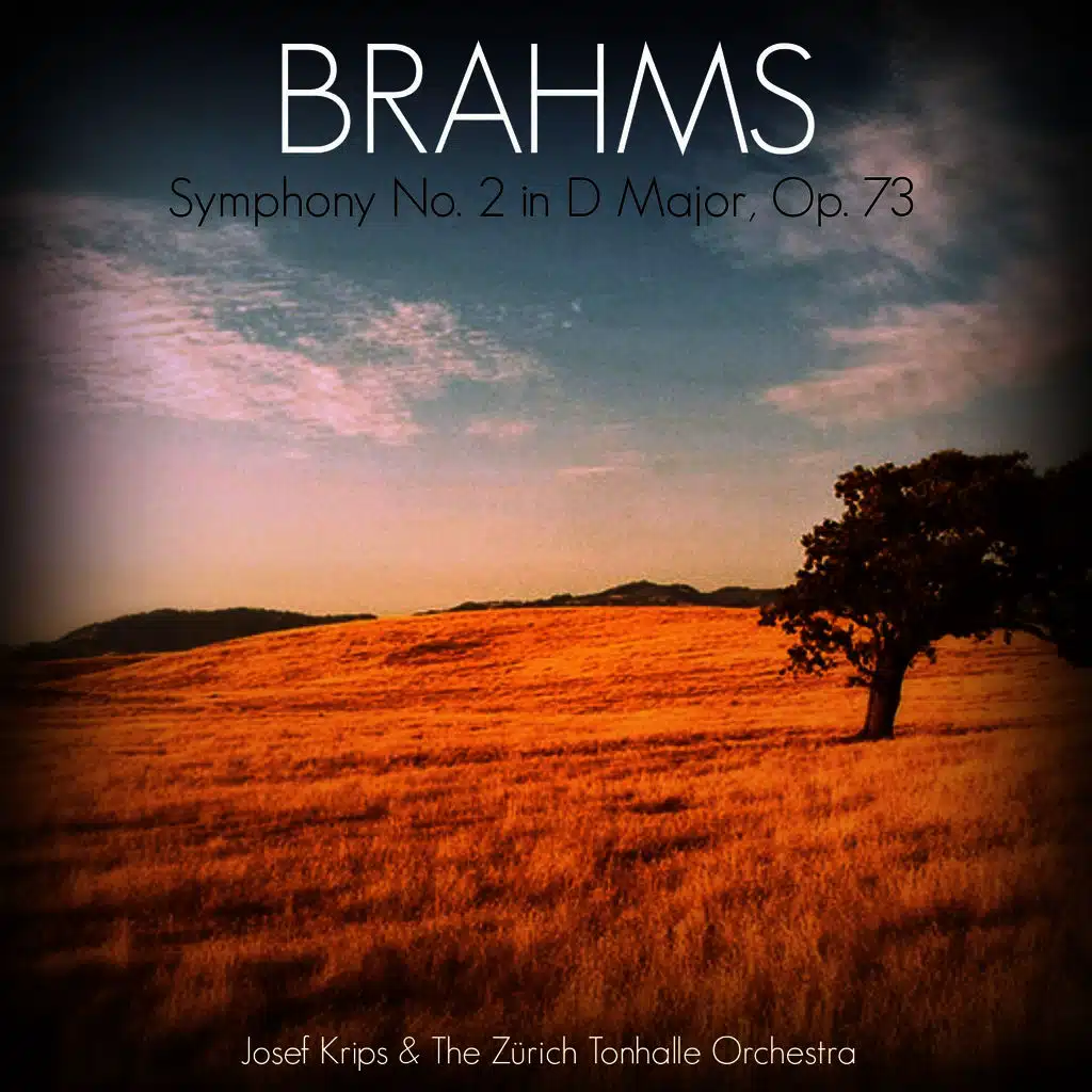 Symphony No. 2 in D Major, Op. 73: Allegro con spirito