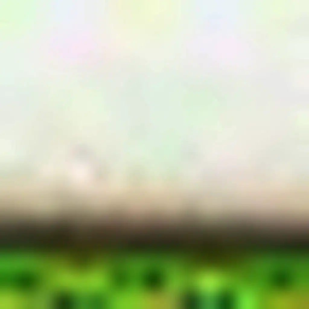 La Changa/Mis Verdaderos Exitos