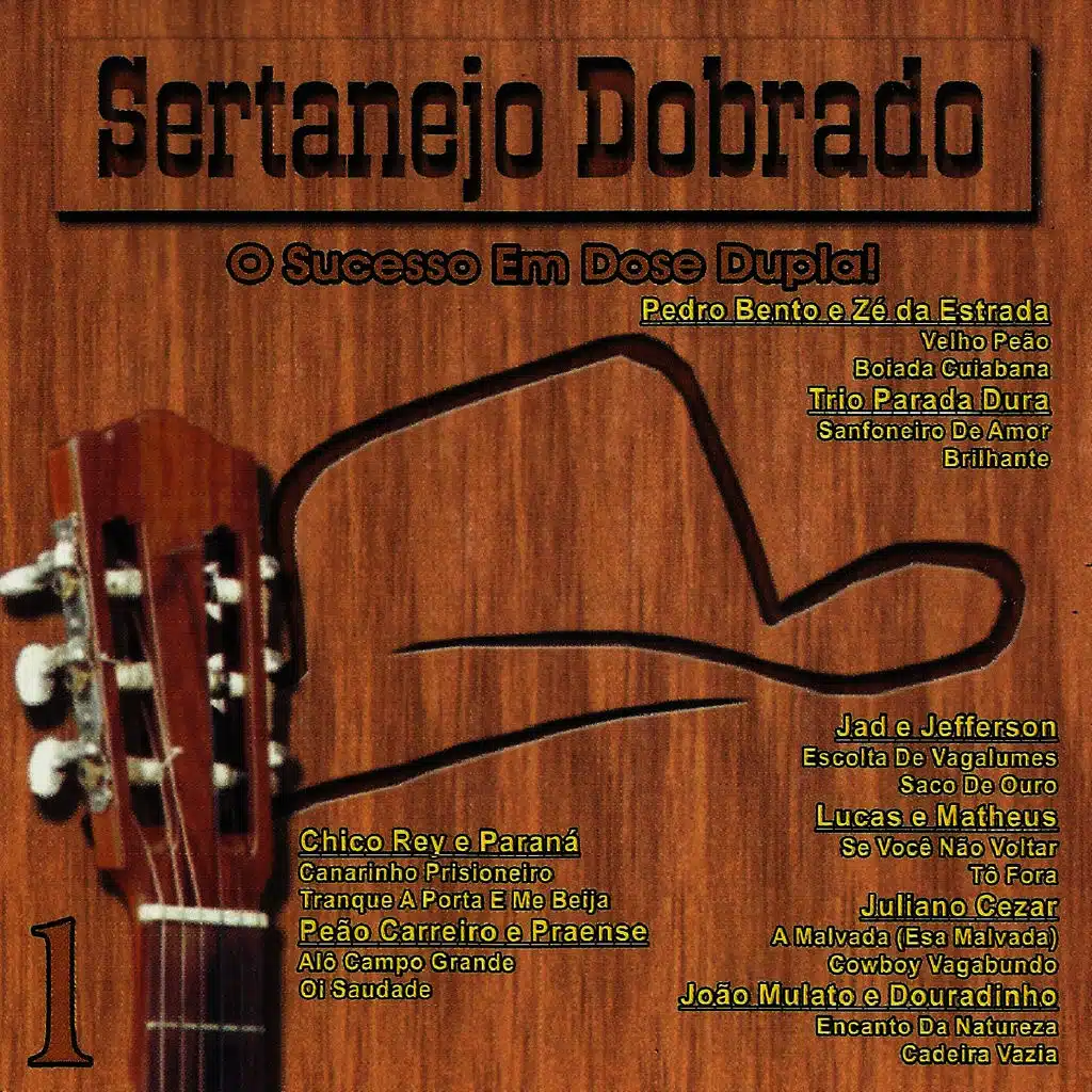 Sertanejo Dobrado - o Sucesso Em Dose Dupla!