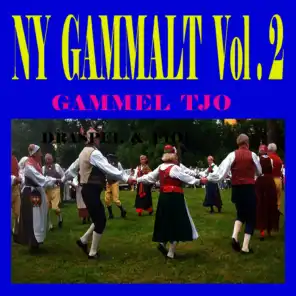Ny Gammalt, Vol. 2