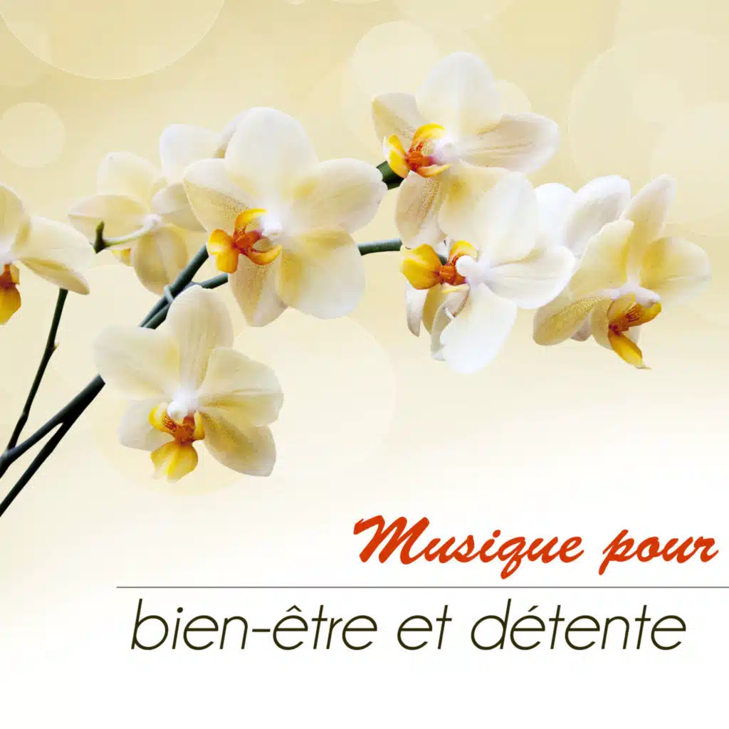 Musique d'ambiance pour repose