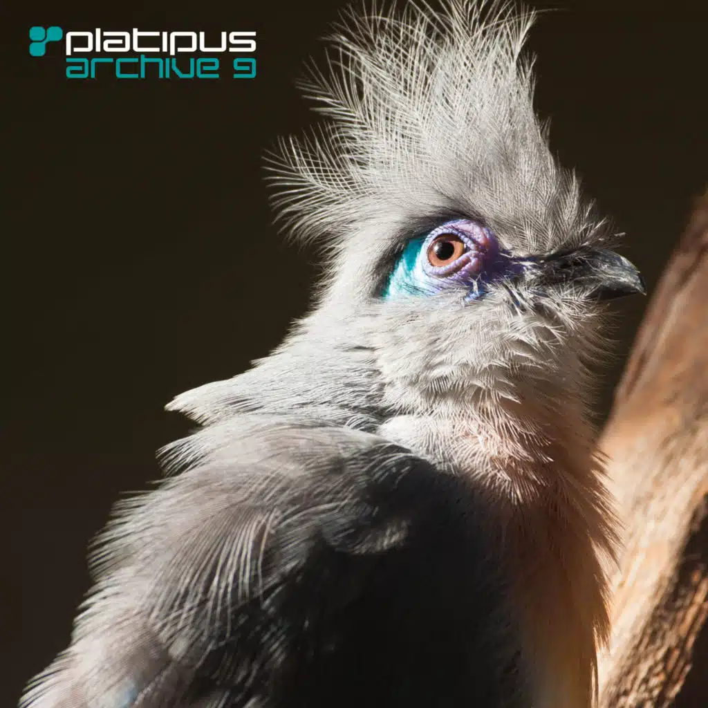 Today (Seismic Remix)