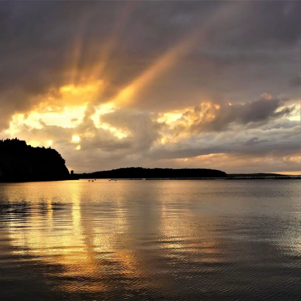 Medieval Warriors Dance (feat. Anastasia Goose)