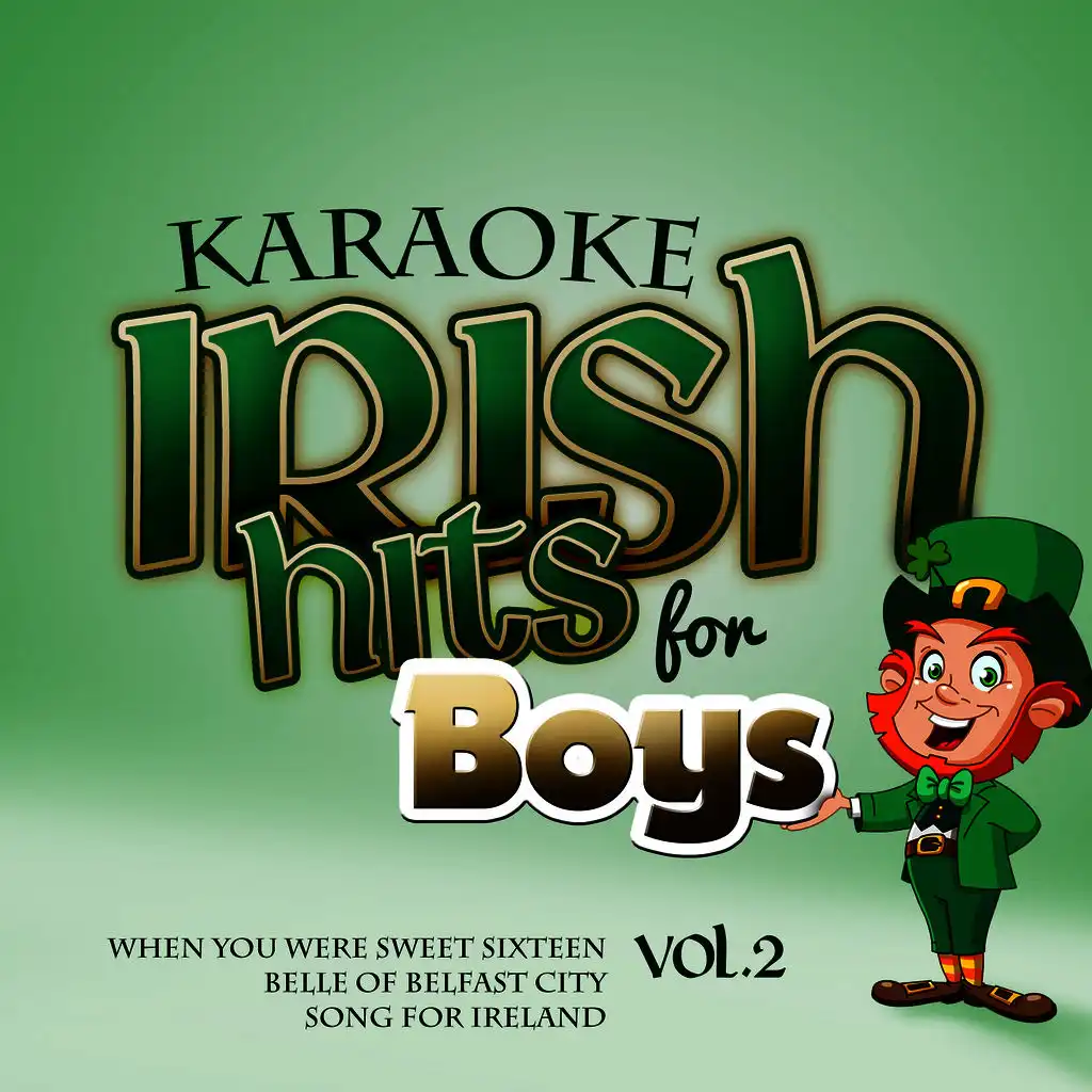 Karaoke - Irish Hits for Boys, Vol. 2