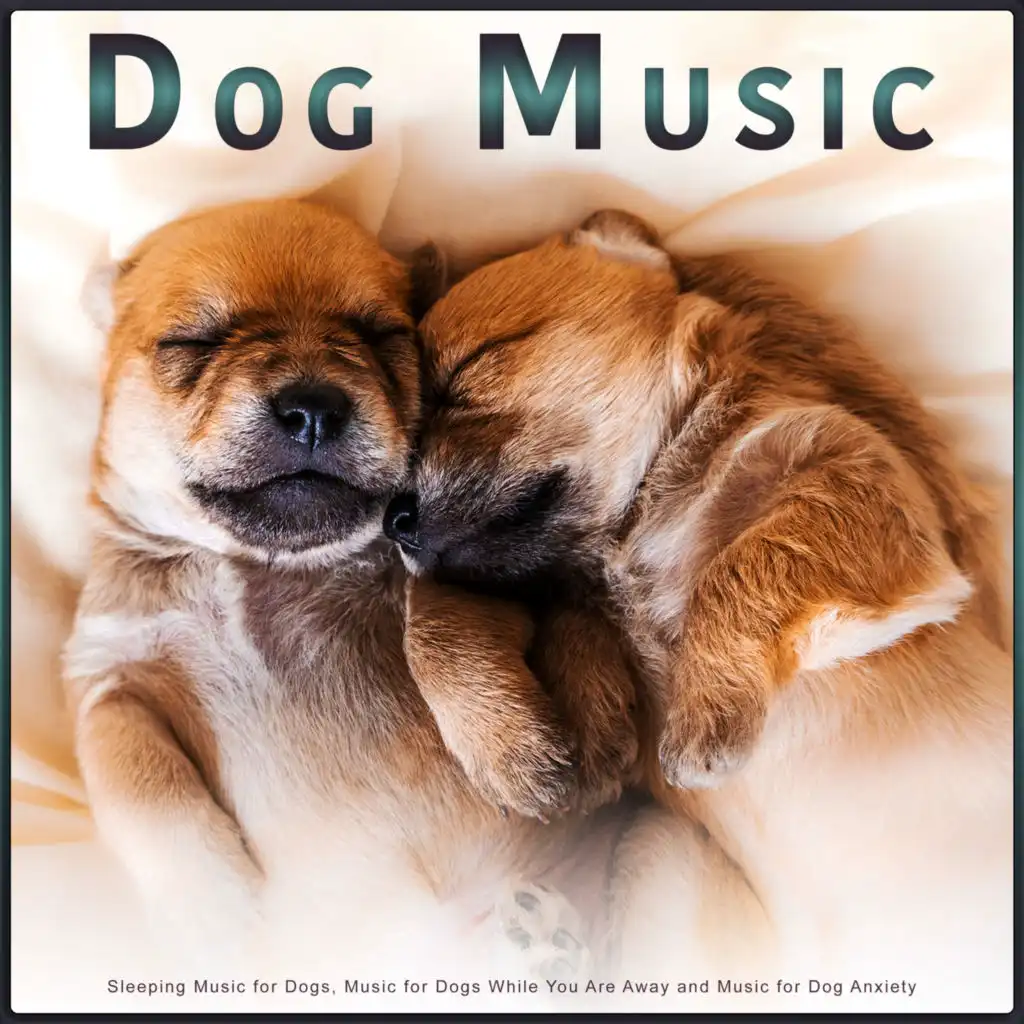 Calm Piano Music For Dogs