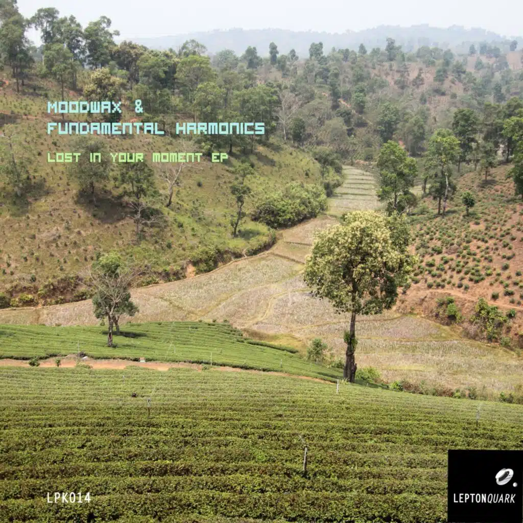 Moodwax & Fundamental Harmonics