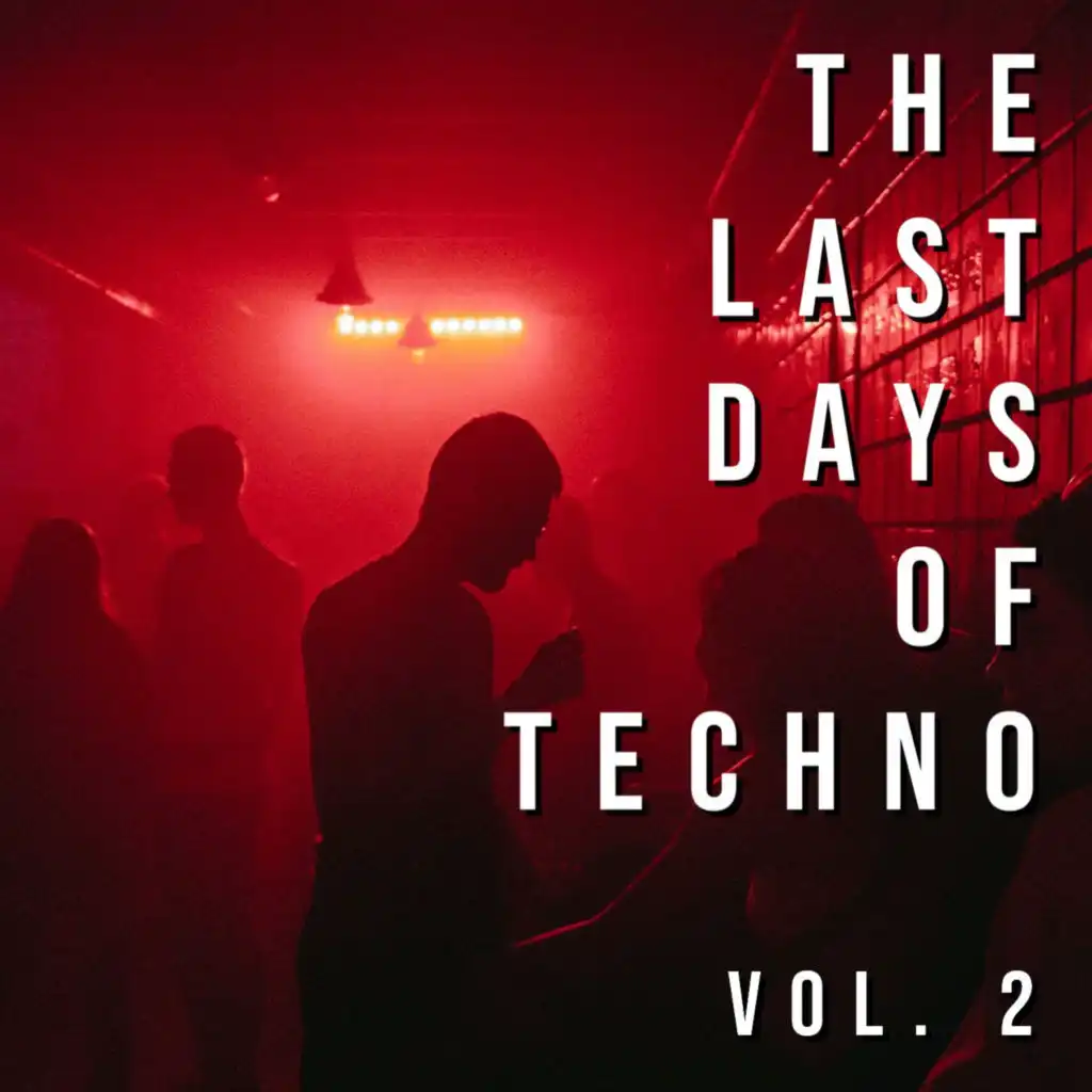 Last Days of Techno, Vol. 2