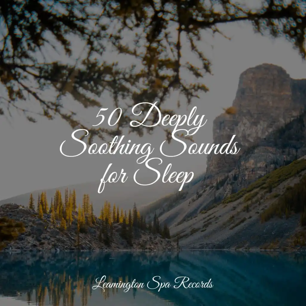 50 Deeply Soothing Sounds for Sleep