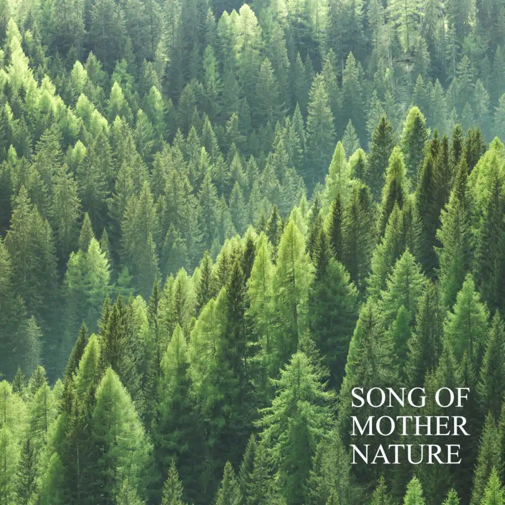 Song of Mother Nature (Soothing Sounds to Slow Down and Learn to Relax)