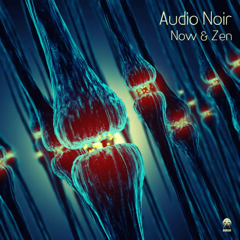 Ain't No Melodies (Audio Noir Zen Mix)