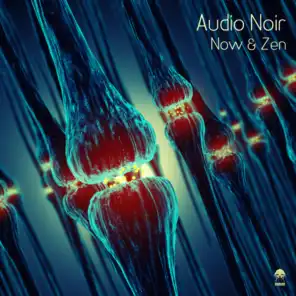 Immersion (Audio Noir Zen Mix)