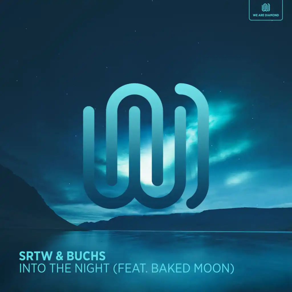 Into the Night (feat. Baked Moon)