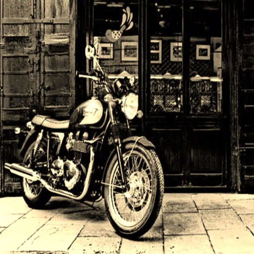 En El Camino (Spam Rock)