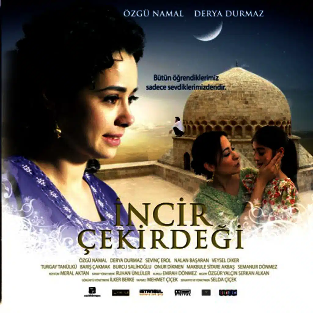 İncir Çekirdeği