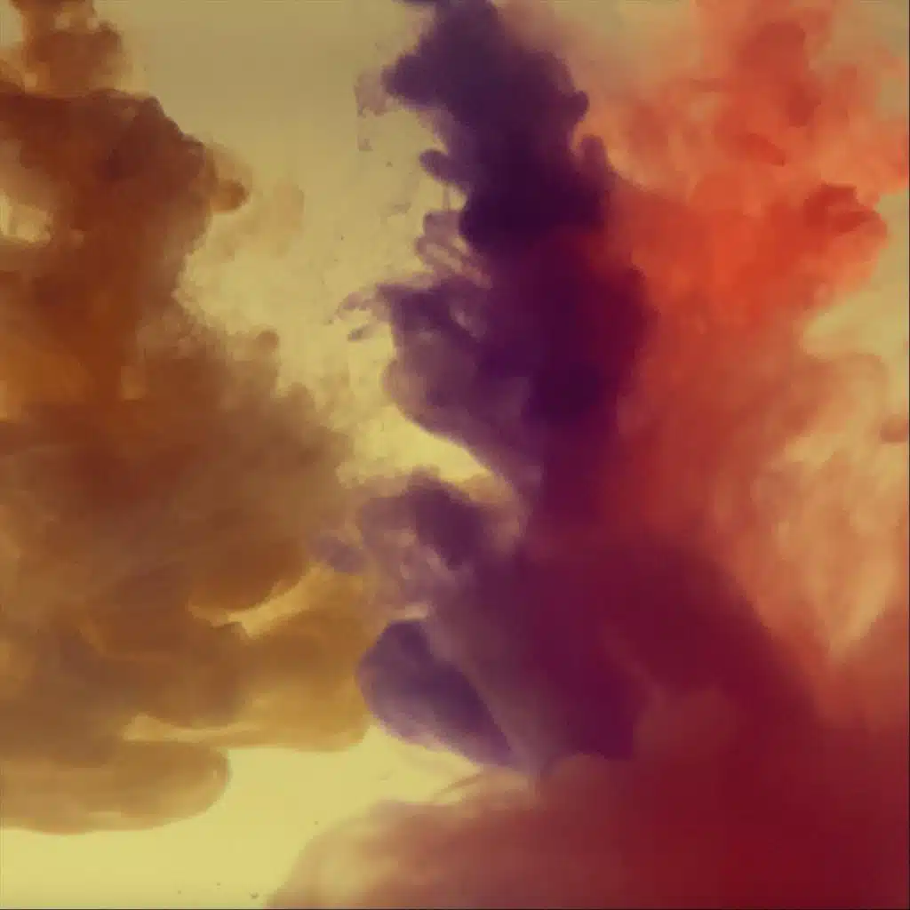 The Colors