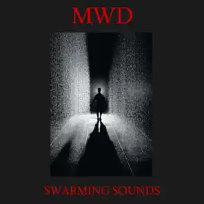 Swarming Sounds