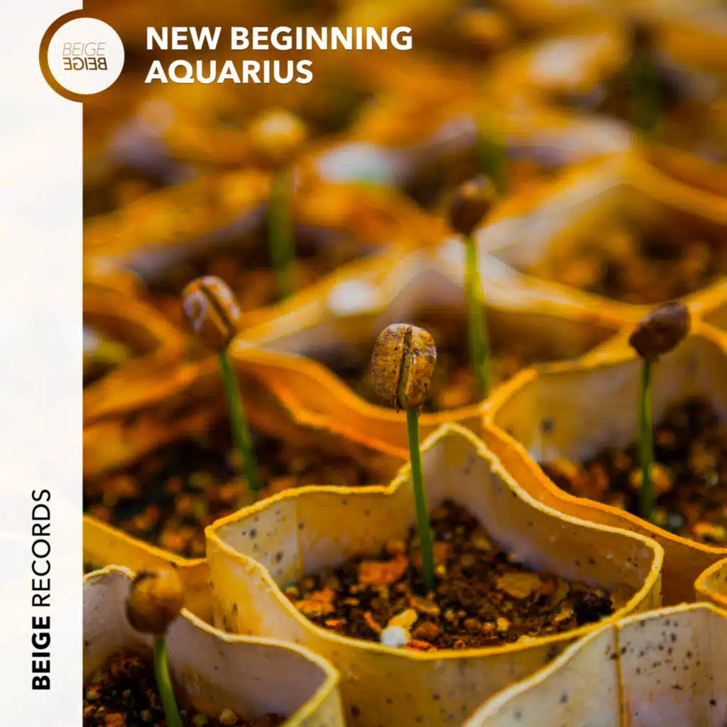 New Beginning