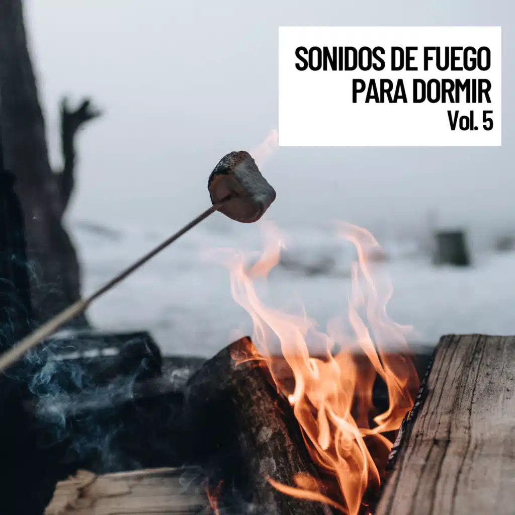 Sonidos de fuego para dormir Vol. 5