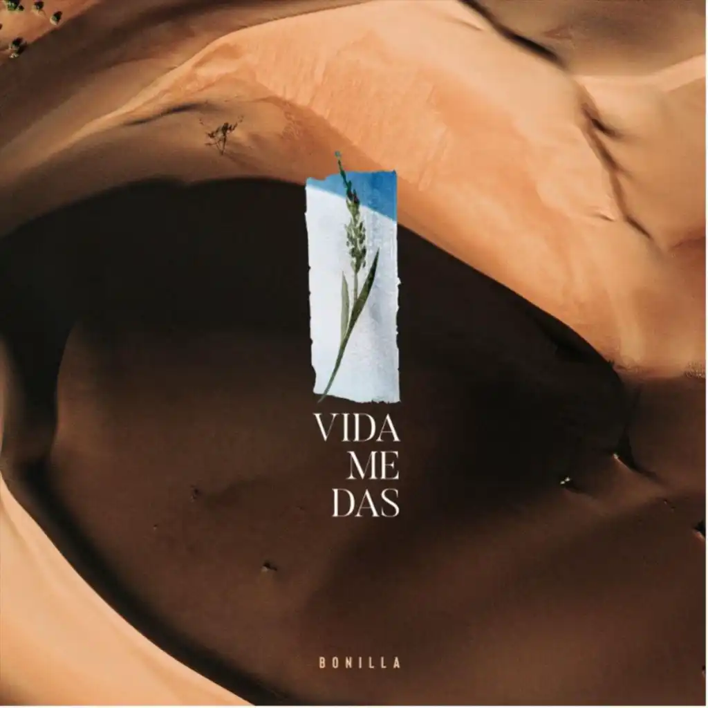 Vida Me Das (Instrumental)