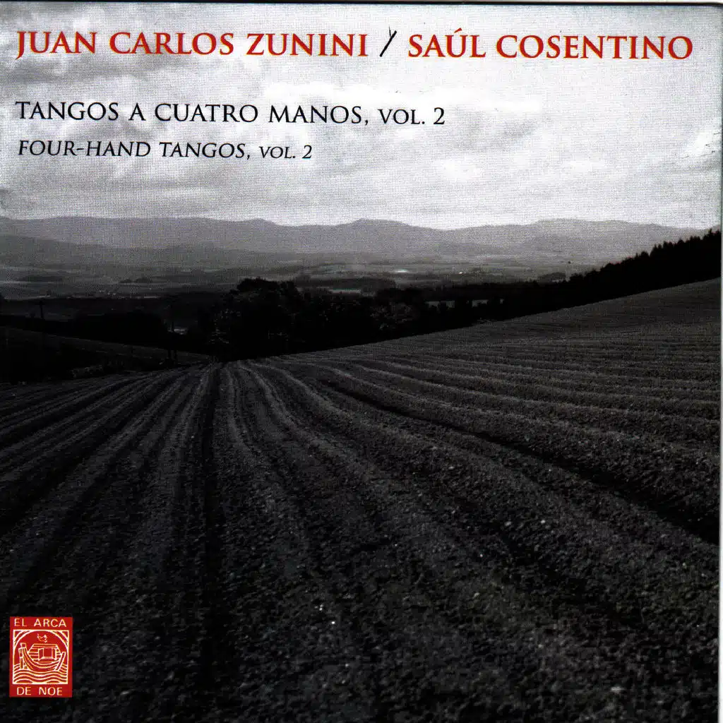 Saúl Cosentino and Juan Carlos Zunini