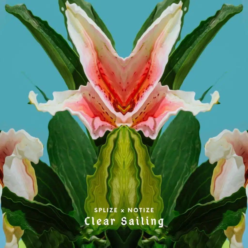 Clear Sailing