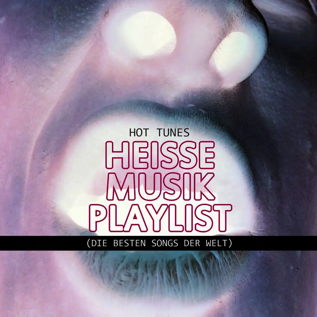 Heisse Musik Playlist (Die Besten Songs Der Welt)