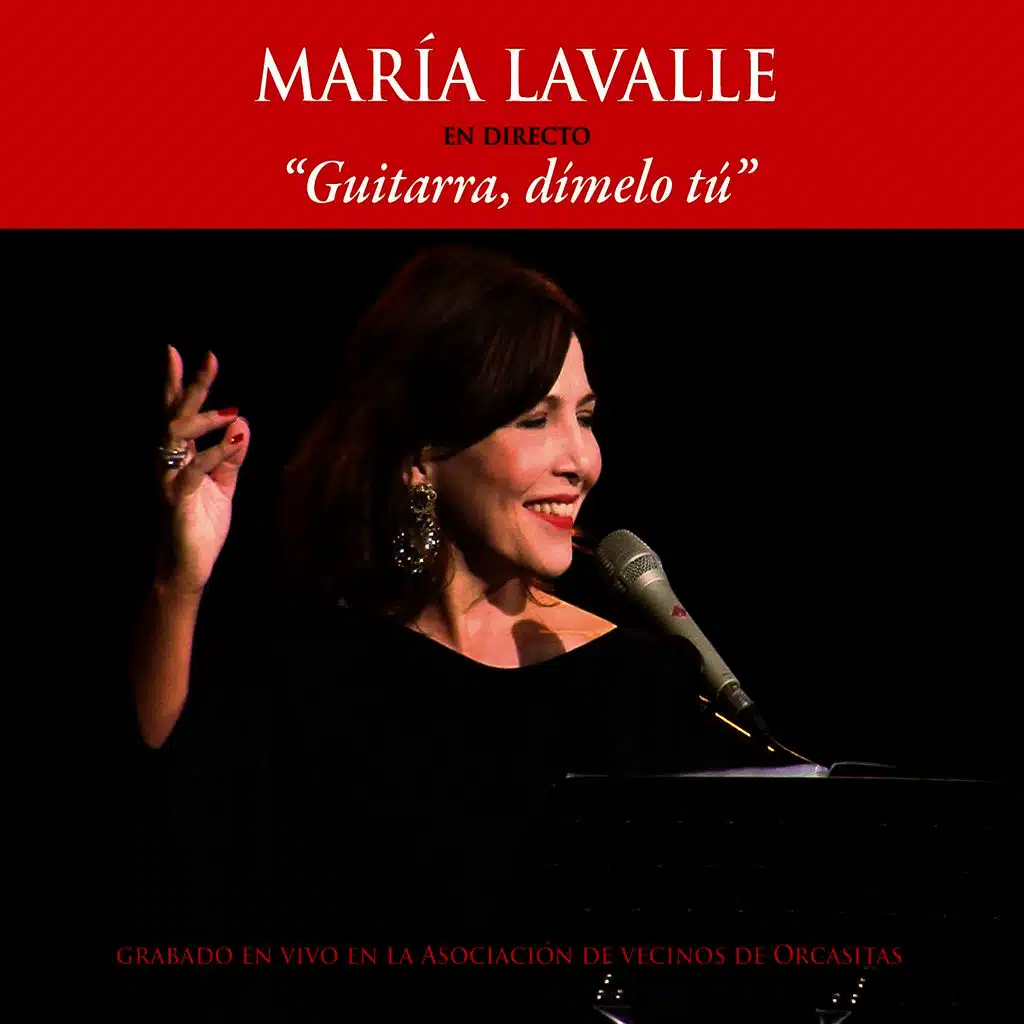 Guitarra, Dímelo Tú