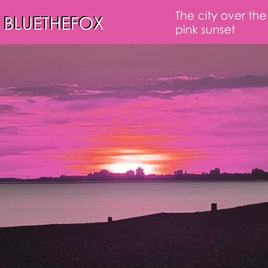The city over the pink sunset