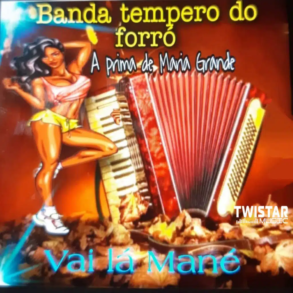 Banda Tempero Do Forró