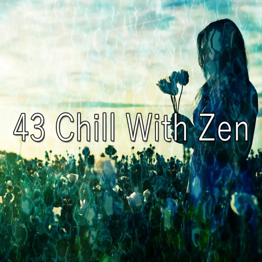 43 Chill with Zen