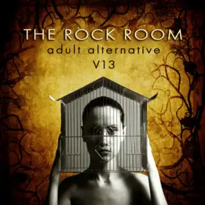 The Rock Room: Adult Alternative, Vol. 13
