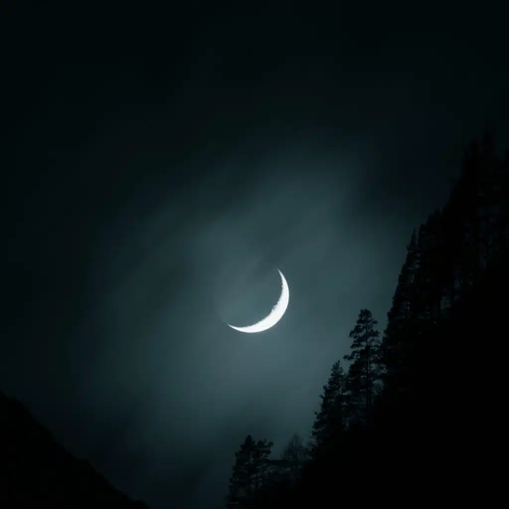 Sleep