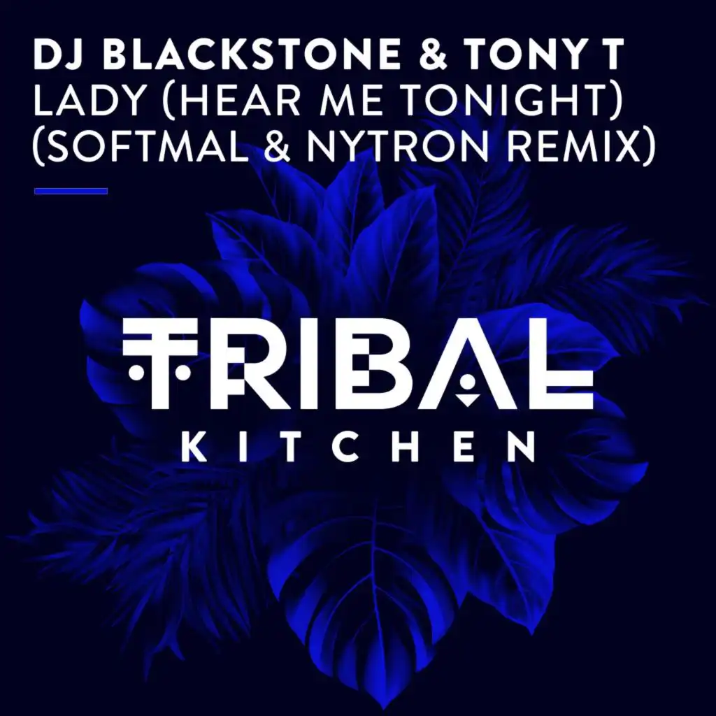 Lady (Hear Me Tonight) [Softmal & Nytron Radio Edit] [feat. Tony T]