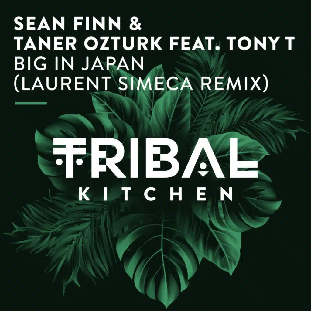 Big in Japan (Laurent Simeca Remix) [feat. Tony T]