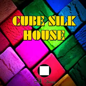 Cube Silk House