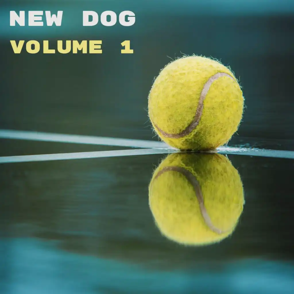 New Dog, Vol. 1 (New Age Zen Music for Dogs)